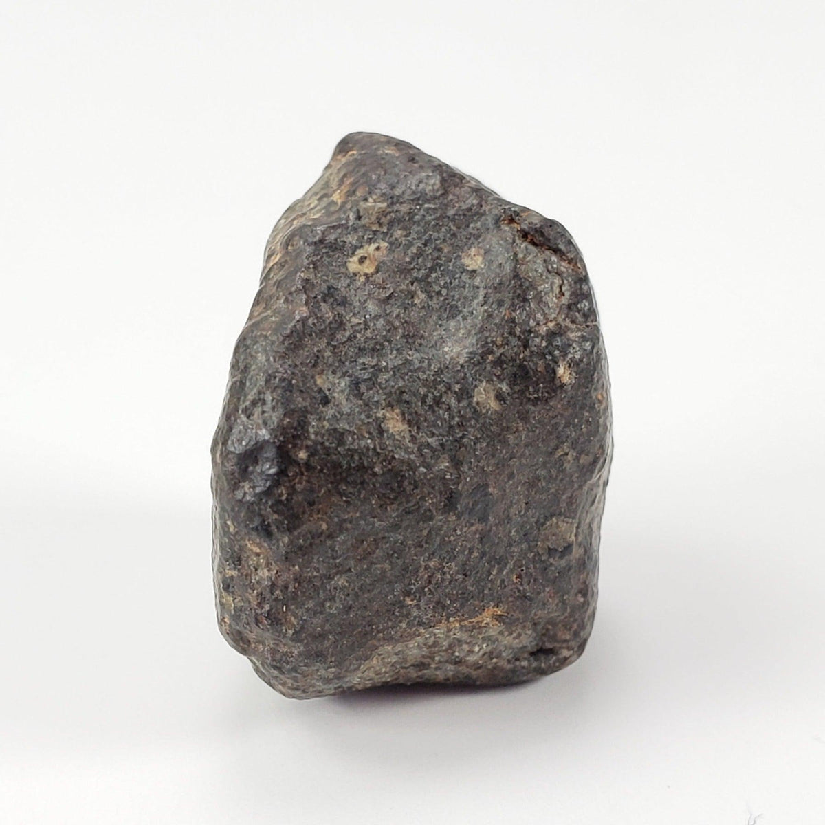  NWA 869 Meteorite | 9.56 Grams | Individual | L3-6 Chondrite | Crusted Specimen 7