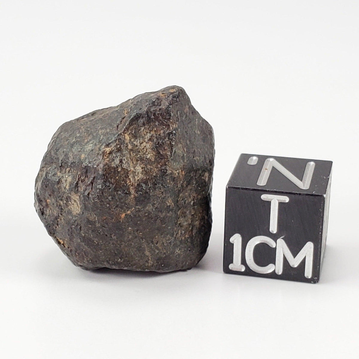  NWA 869 Meteorite | 9 Grams | Individual | L3-6 Chondrite | Crusted Specimen SO24 
