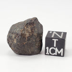  NWA 869 Meteorite | 9 Grams | Individual | L3-6 Chondrite | Crusted Specimen SO24 