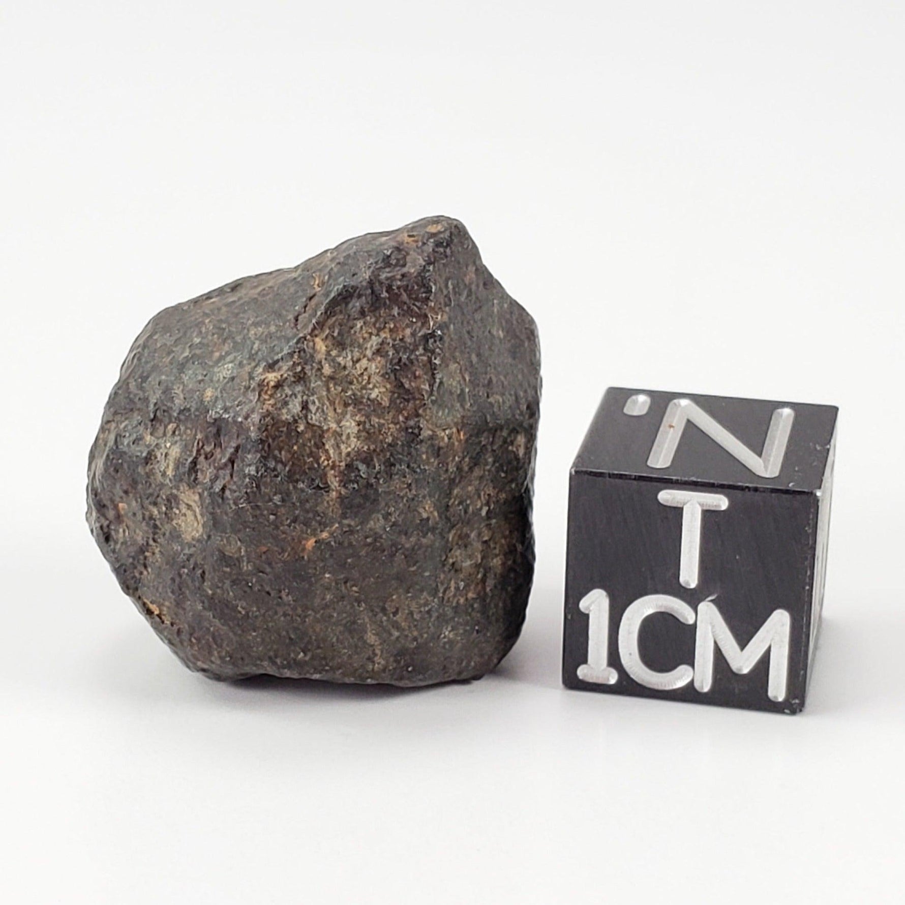  NWA 869 Meteorite | 9 Grams | Individual | L3-6 Chondrite | Crusted Specimen SO24 