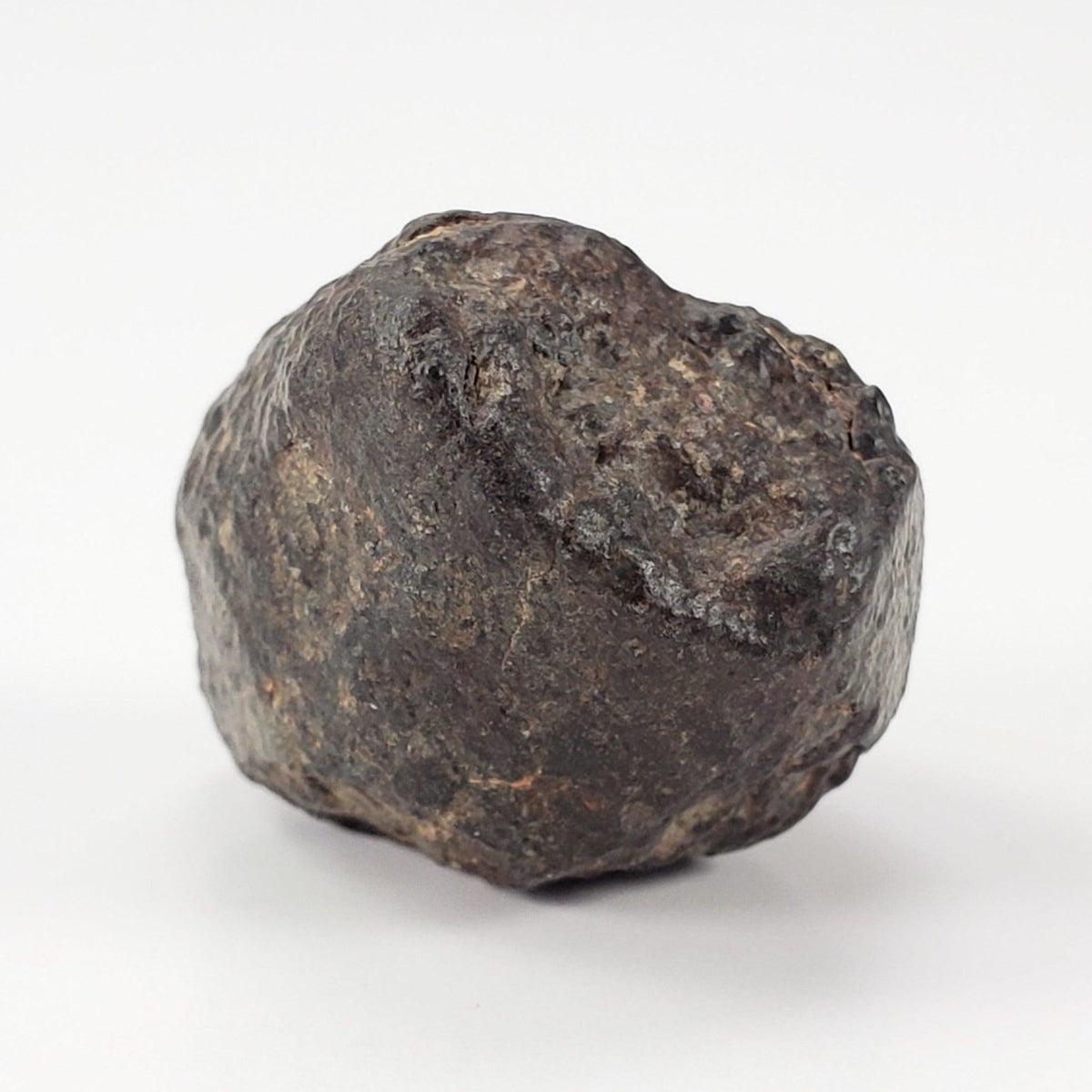  NWA 869 Meteorite | 9 Grams | Individual | L3-6 Chondrite | Crusted Specimen SO24 1