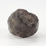  NWA 869 Meteorite | 9 Grams | Individual | L3-6 Chondrite | Crusted Specimen SO24 1