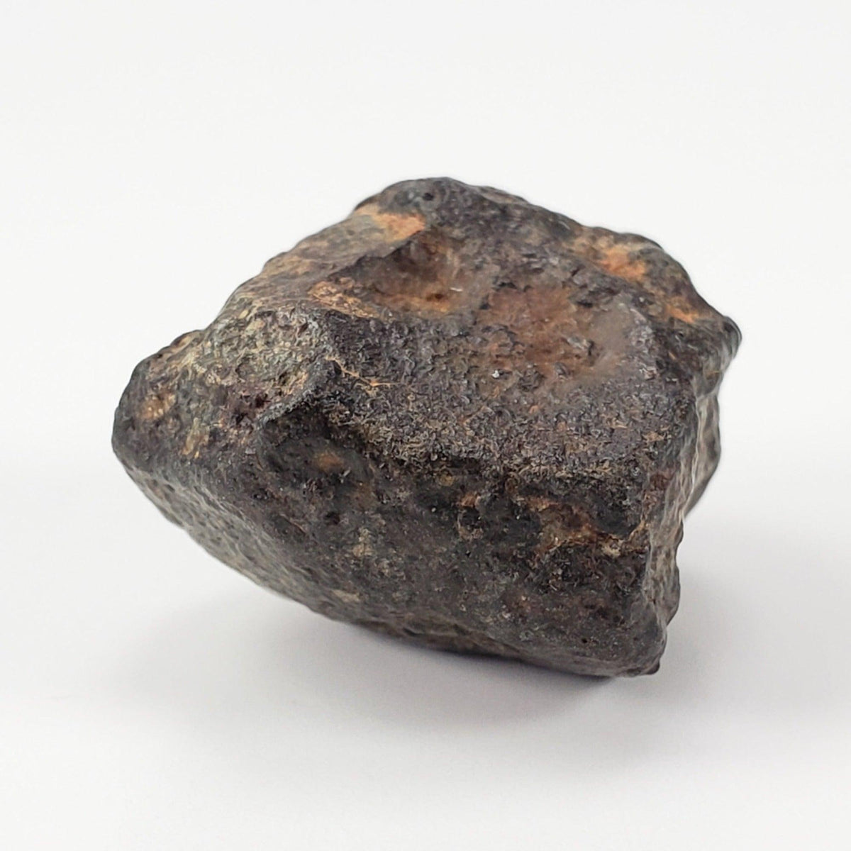  NWA 869 Meteorite | 9 Grams | Individual | L3-6 Chondrite | Crusted Specimen SO24 7