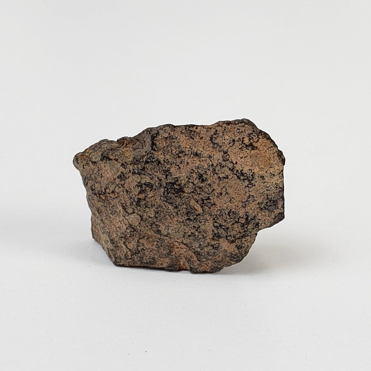  NWA 978 Meteorite | 3.03 Grams | End Cut | Rare R3.8 Rumurutiite 1