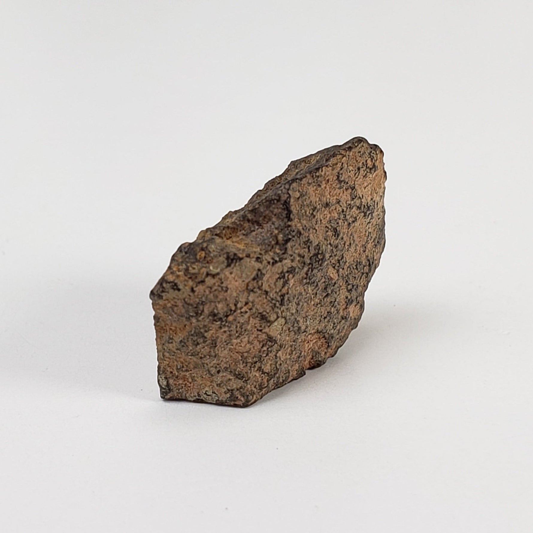  NWA 978 Meteorite | 3.03 Grams | End Cut | Rare R3.8 Rumurutiite 4