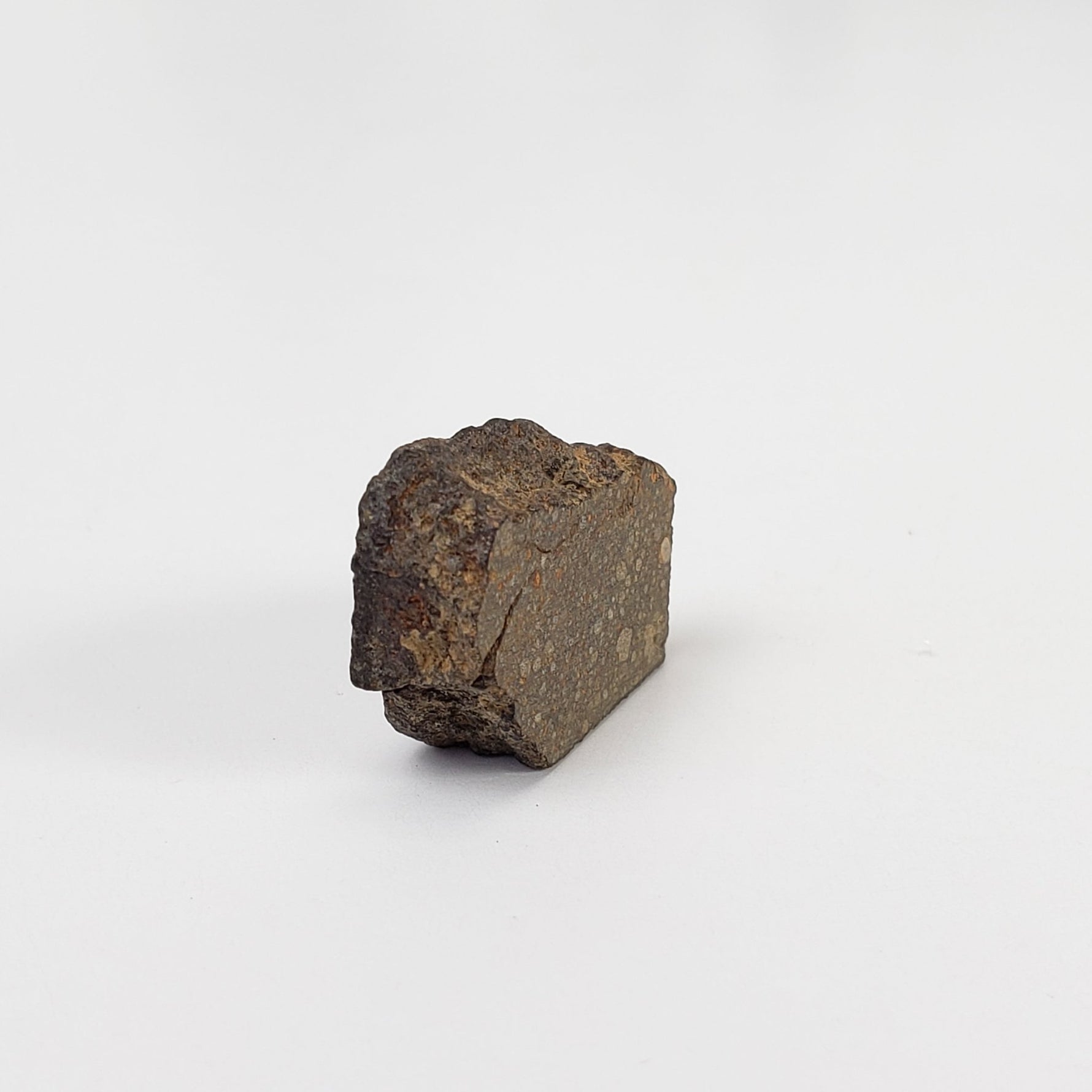  NWA 978 Meteorite | 3.03 Grams | End Cut | Rare R3.8 Rumurutiite 7