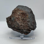  Nantan Meteorite | 657 Grams | IAB-MG Iron | Guangxi China | SO24 4
