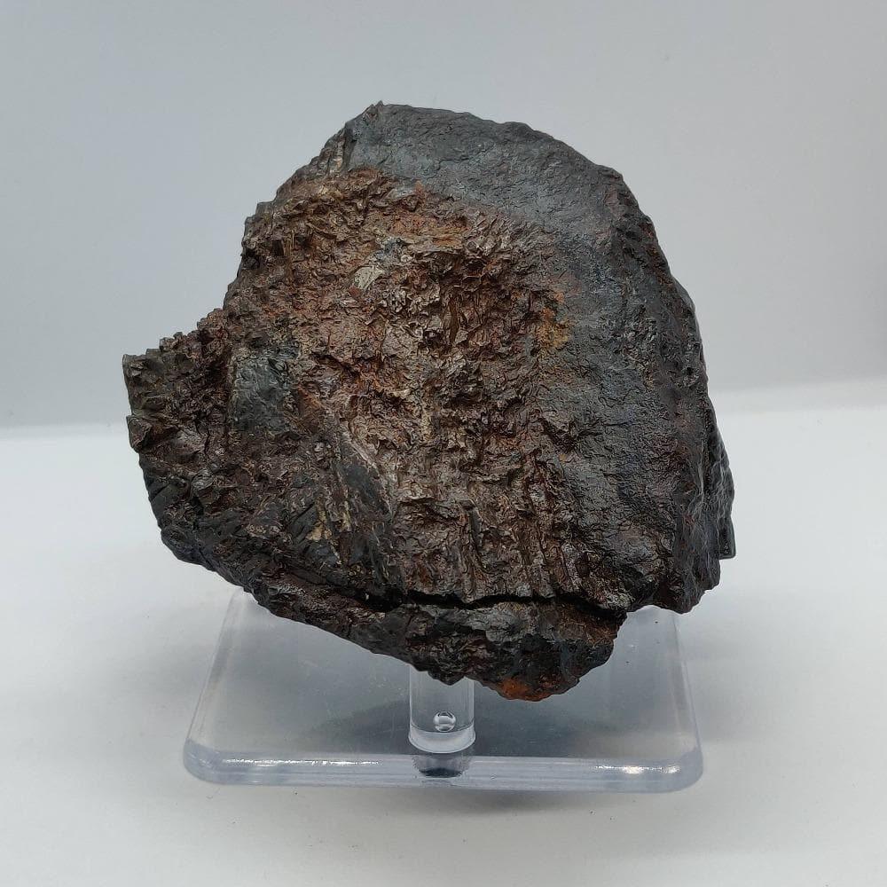  Nantan Meteorite | 657 Grams | IAB-MG Iron | Guangxi China | SO24 4