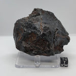  Nantan Meteorite | 657 Grams | IAB-MG Iron | Guangxi China | SO24 