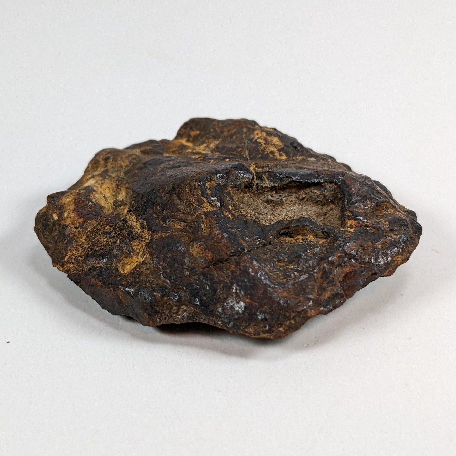  Nantan Meteorite-in-a-Box | 36.89 gr | Individual | IAB-MG | Guangxi China SO24 2