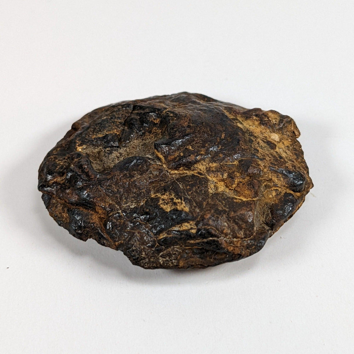  Nantan Meteorite-in-a-Box | 36.89 gr | Individual | IAB-MG | Guangxi China SO24 3