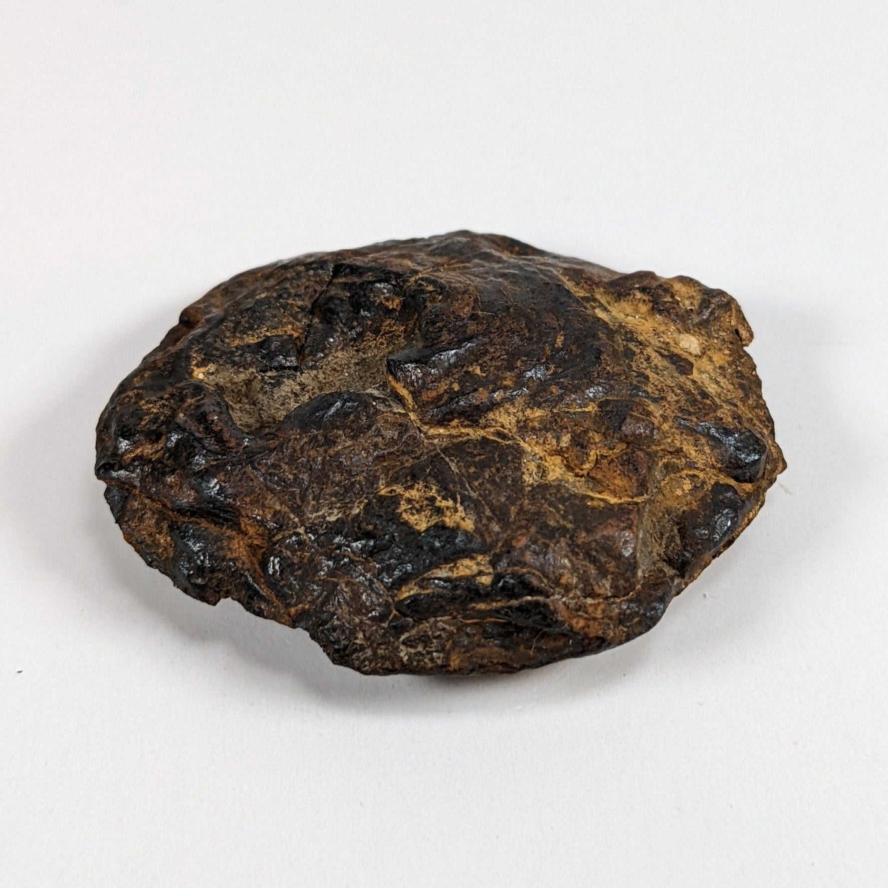  Nantan Meteorite-in-a-Box | 36.89 gr | Individual | IAB-MG | Guangxi China SO24 3