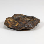  Nantan Meteorite-in-a-Box | 36.89 gr | Individual | IAB-MG | Guangxi China SO24 5