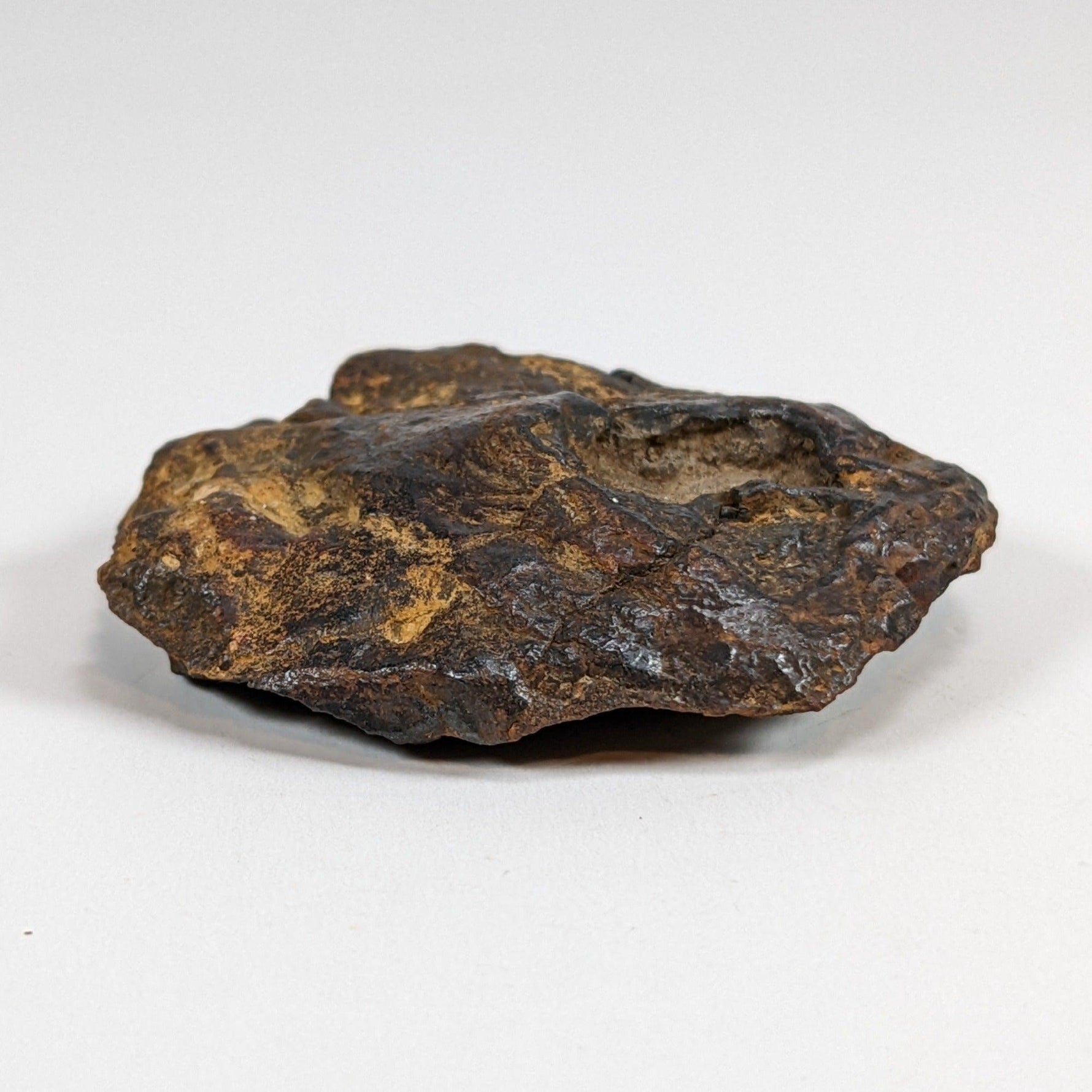  Nantan Meteorite-in-a-Box | 36.89 gr | Individual | IAB-MG | Guangxi China SO24 5