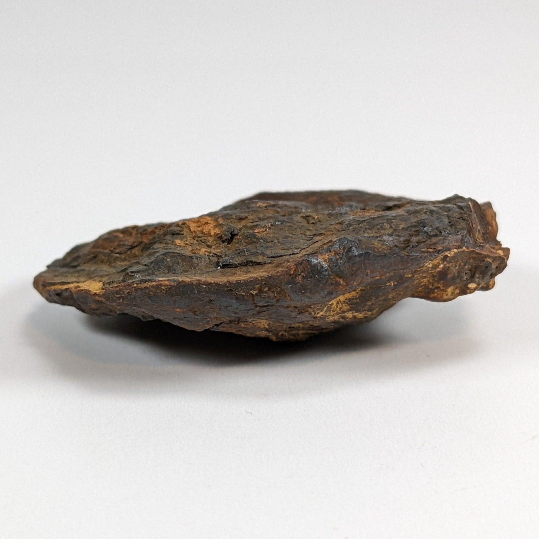  Nantan Meteorite-in-a-Box | 36.89 gr | Individual | IAB-MG | Guangxi China SO24 6