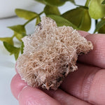  Natrolite Crystals | 14 grams | Wasson’s Bluff, Nova Scotia, Canada | SO24 