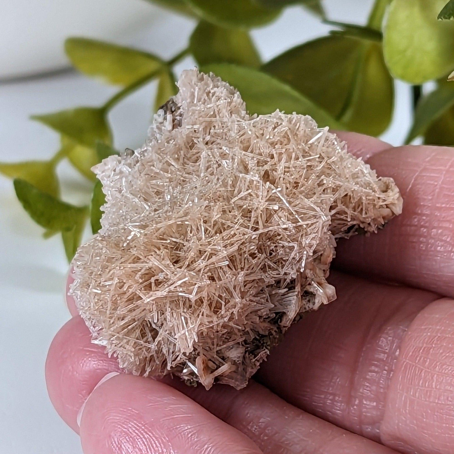  Natrolite Crystals | 14 grams | Wasson’s Bluff, Nova Scotia, Canada | SO24 