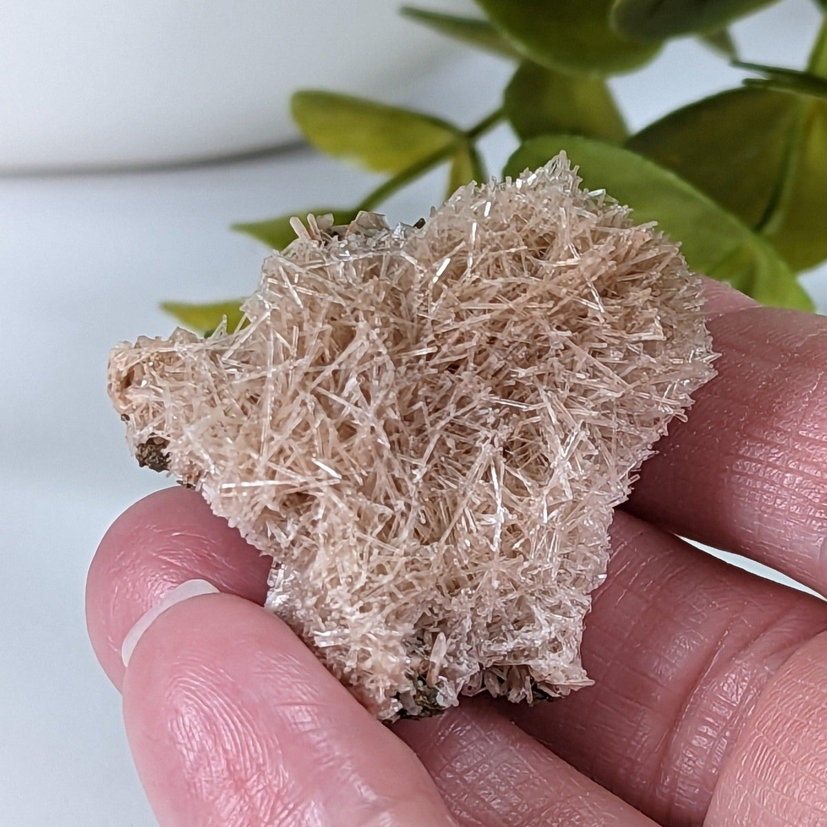  Natrolite Crystals | 14 grams | Wasson’s Bluff, Nova Scotia, Canada | SO24 1