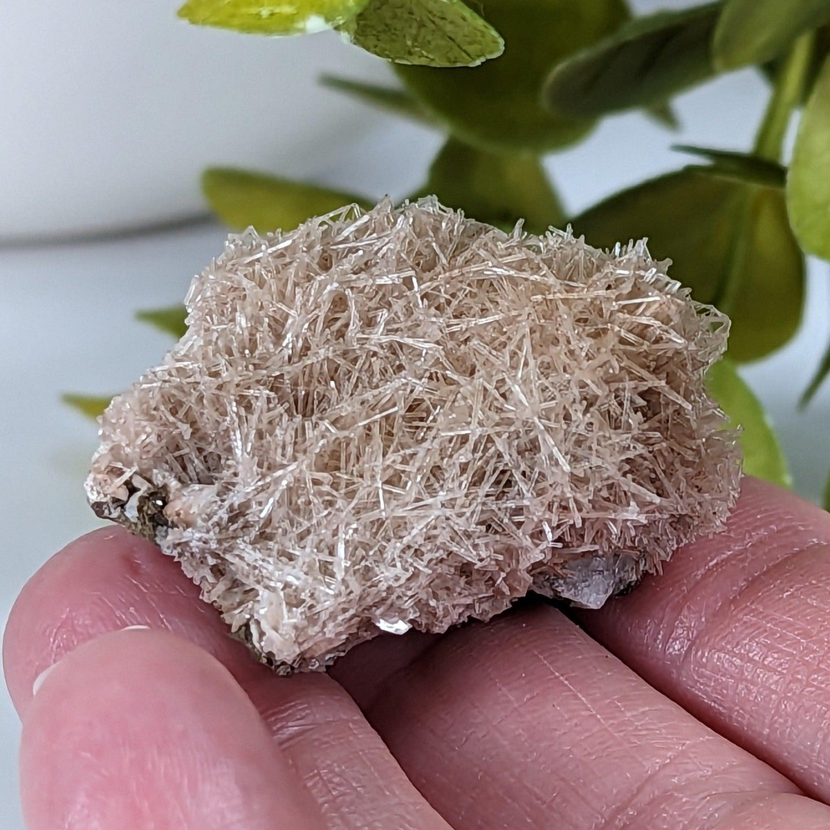  Natrolite Crystals | 14 grams | Wasson’s Bluff, Nova Scotia, Canada | SO24 2