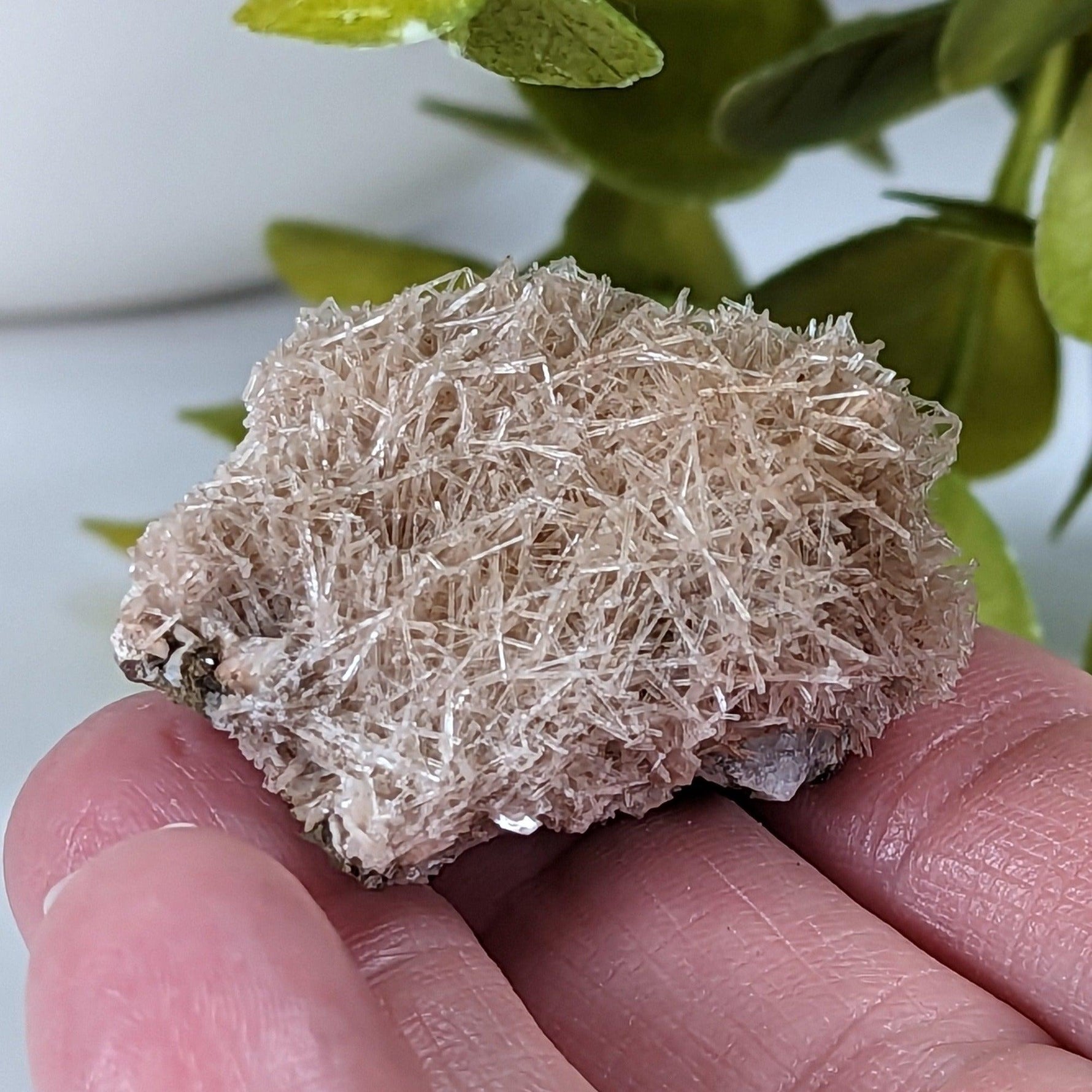  Natrolite Crystals | 14 grams | Wasson’s Bluff, Nova Scotia, Canada | SO24 2