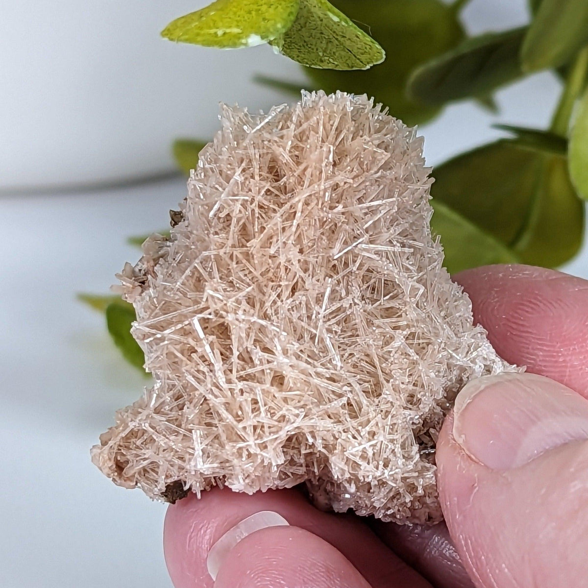  Natrolite Crystals | 14 grams | Wasson’s Bluff, Nova Scotia, Canada | SO24 4