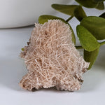  Natrolite Crystals | 14 grams | Wasson’s Bluff, Nova Scotia, Canada | SO24 5