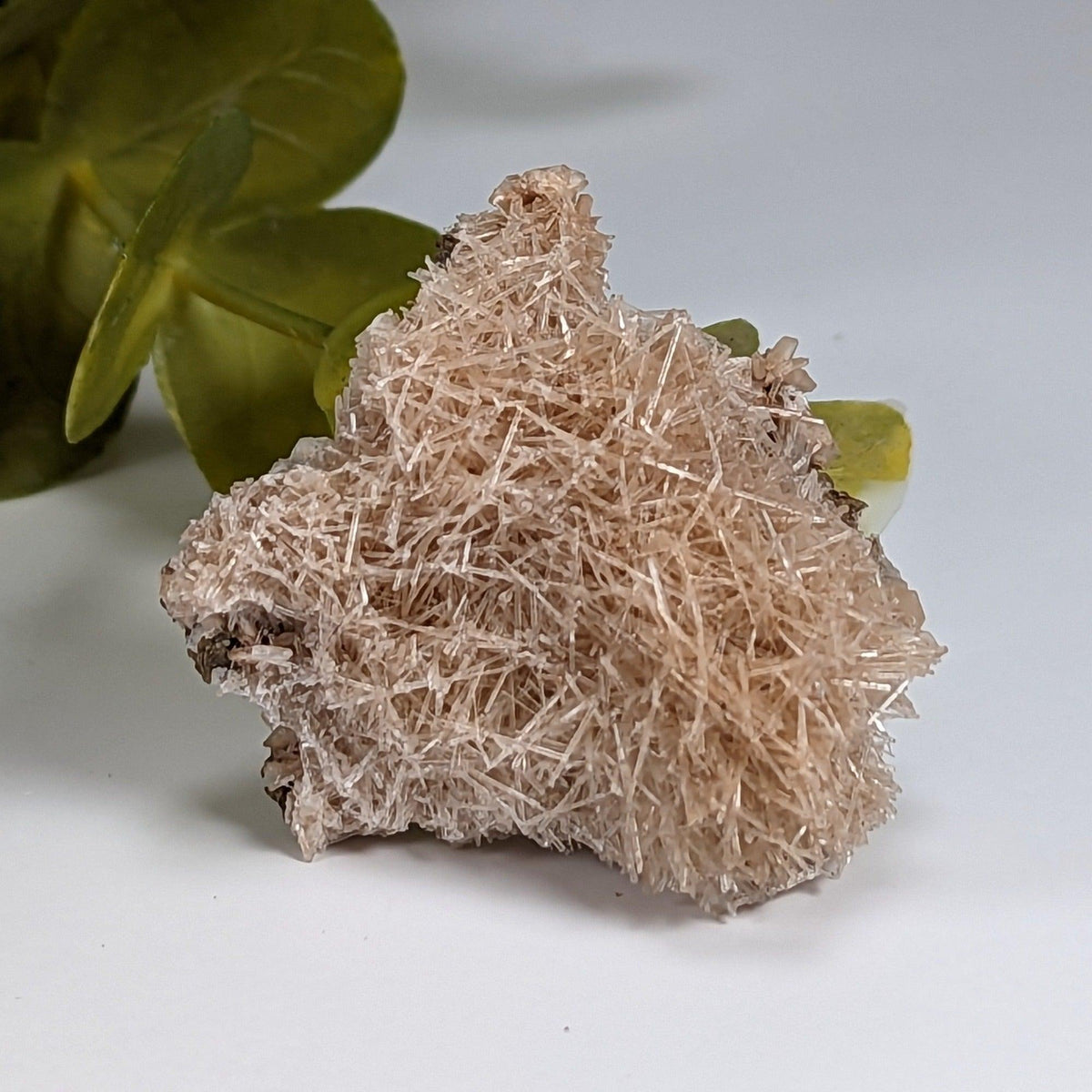  Natrolite Crystals | 14 grams | Wasson’s Bluff, Nova Scotia, Canada | SO24 6