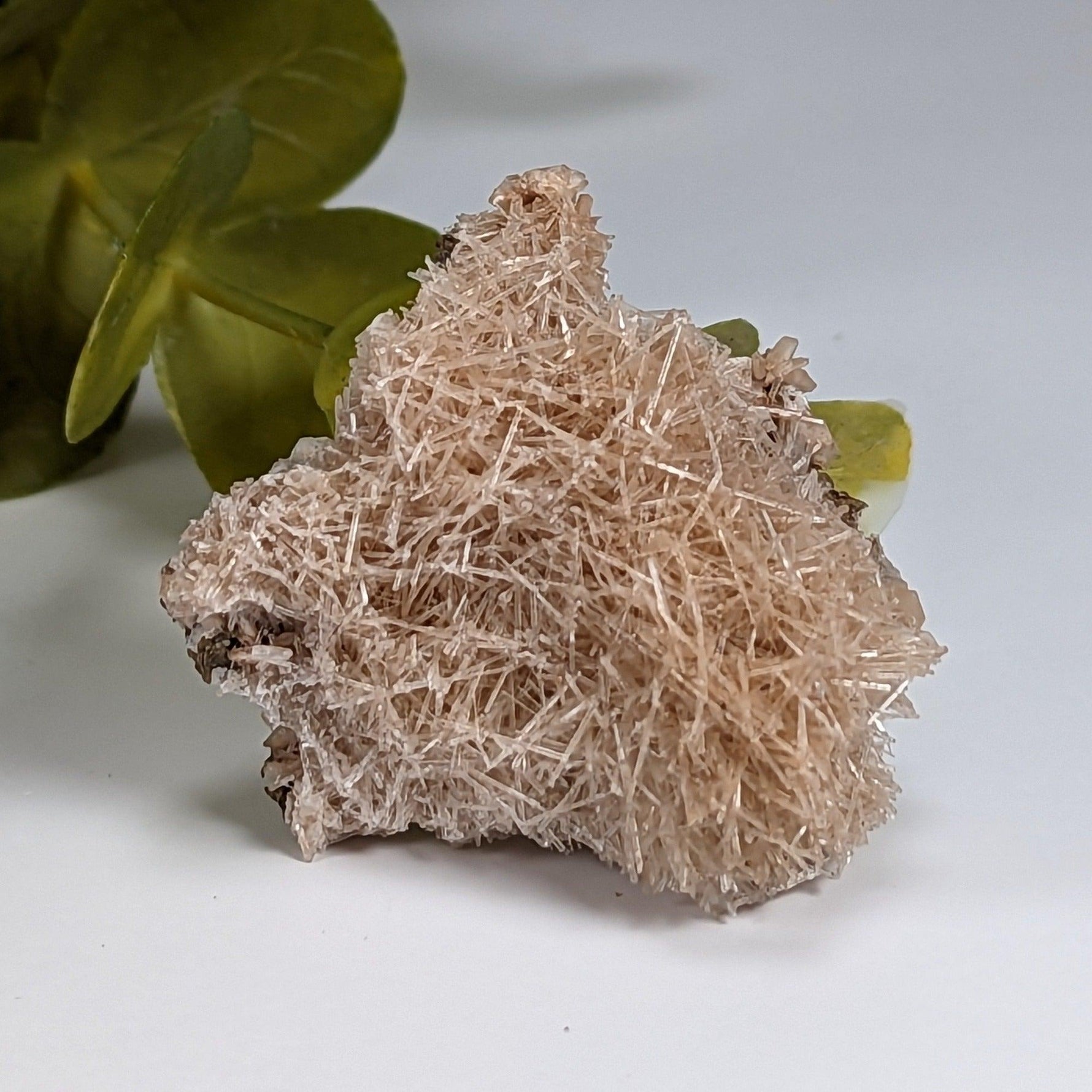  Natrolite Crystals | 14 grams | Wasson’s Bluff, Nova Scotia, Canada | SO24 6