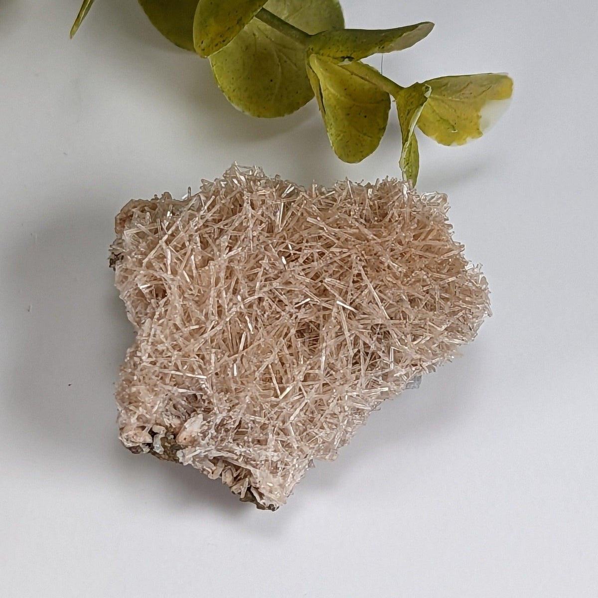  Natrolite Crystals | 14 grams | Wasson’s Bluff, Nova Scotia, Canada | SO24 7