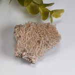  Natrolite Crystals | 14 grams | Wasson’s Bluff, Nova Scotia, Canada | SO24 7