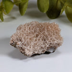  Natrolite Crystals | 14 grams | Wasson’s Bluff, Nova Scotia, Canada | SO24 8