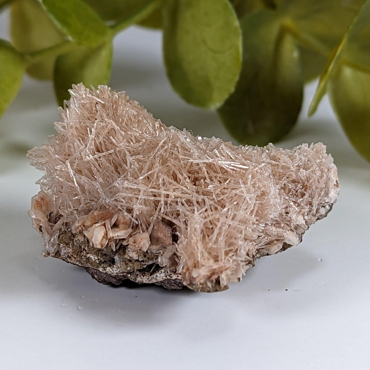  Natrolite Crystals | 14 grams | Wasson’s Bluff, Nova Scotia, Canada | SO24 9
