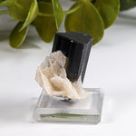  Natural Elbaite Tourmaline with Albite | 17.6 grams | Stak Nala, Gilgit District Pakistan | SO24 