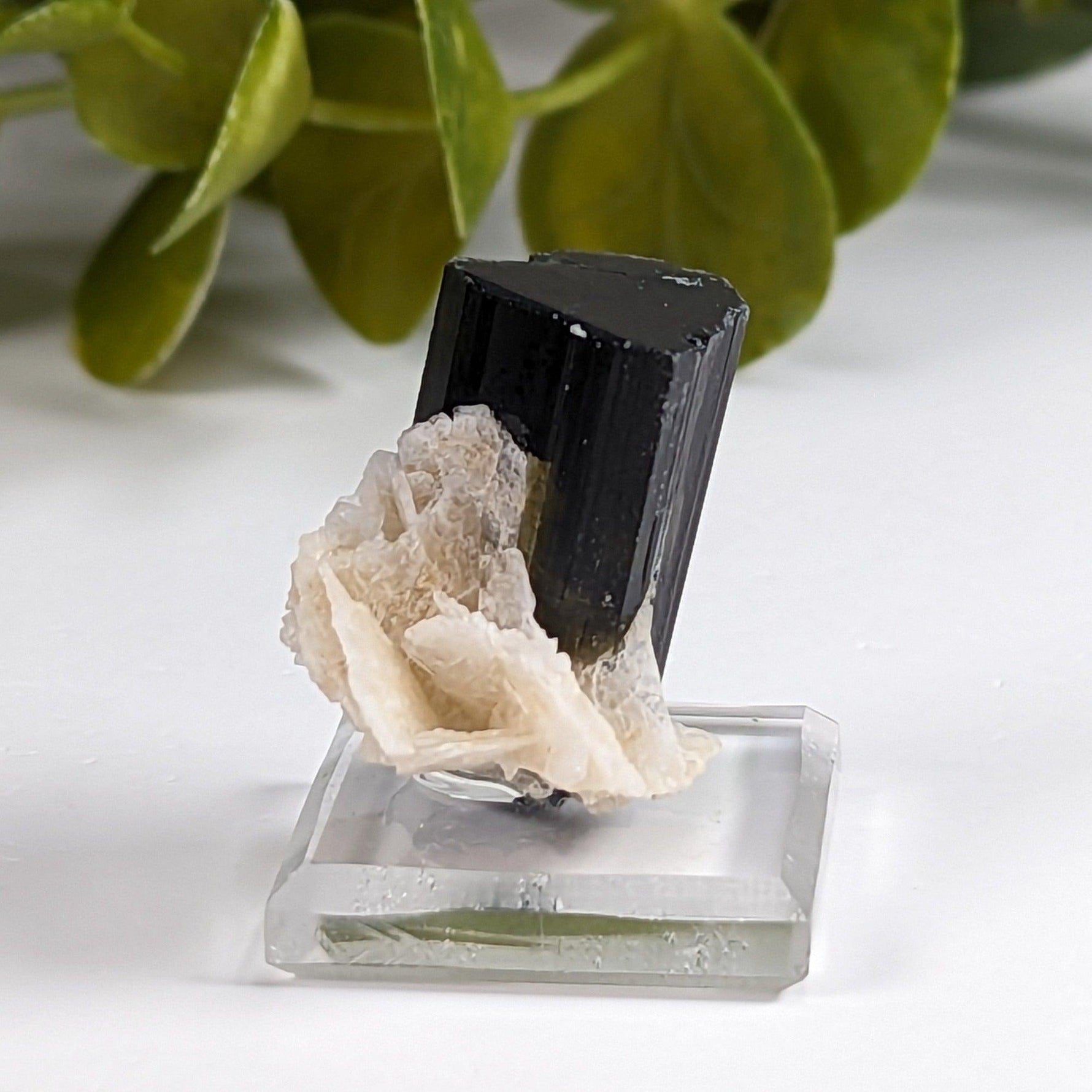  Natural Elbaite Tourmaline with Albite | 17.6 grams | Stak Nala, Gilgit District Pakistan | SO24 