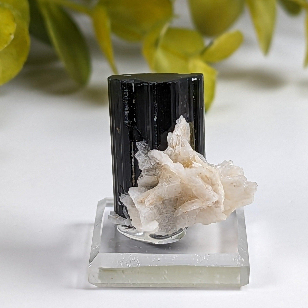  Natural Elbaite Tourmaline with Albite | 17.6 grams | Stak Nala, Gilgit District Pakistan | SO24 1