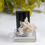  Natural Elbaite Tourmaline with Albite | 17.6 grams | Stak Nala, Gilgit District Pakistan | SO24 1