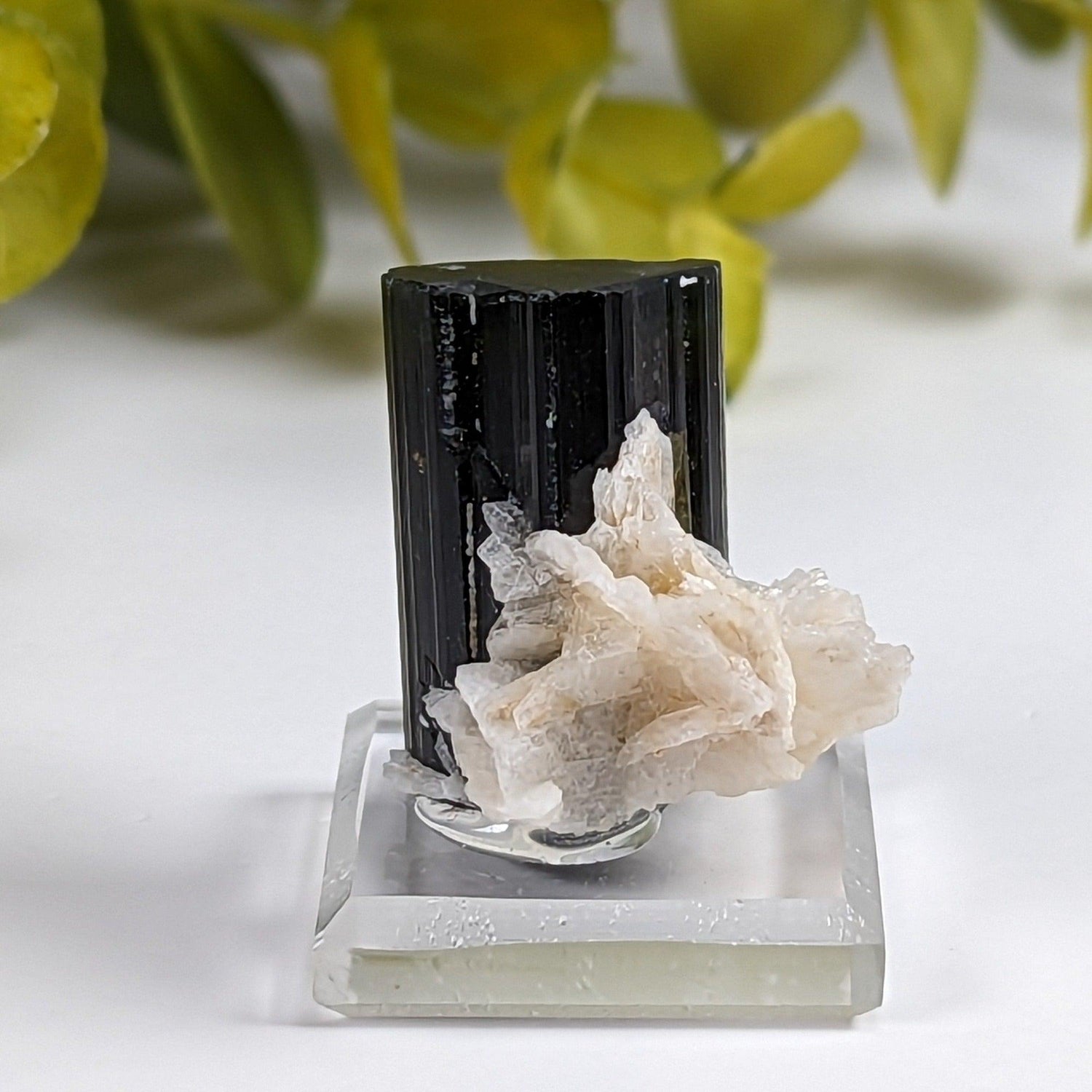  Natural Elbaite Tourmaline with Albite | 17.6 grams | Stak Nala, Gilgit District Pakistan | SO24 1