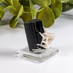  Natural Elbaite Tourmaline with Albite | 17.6 grams | Stak Nala, Gilgit District Pakistan | SO24 2