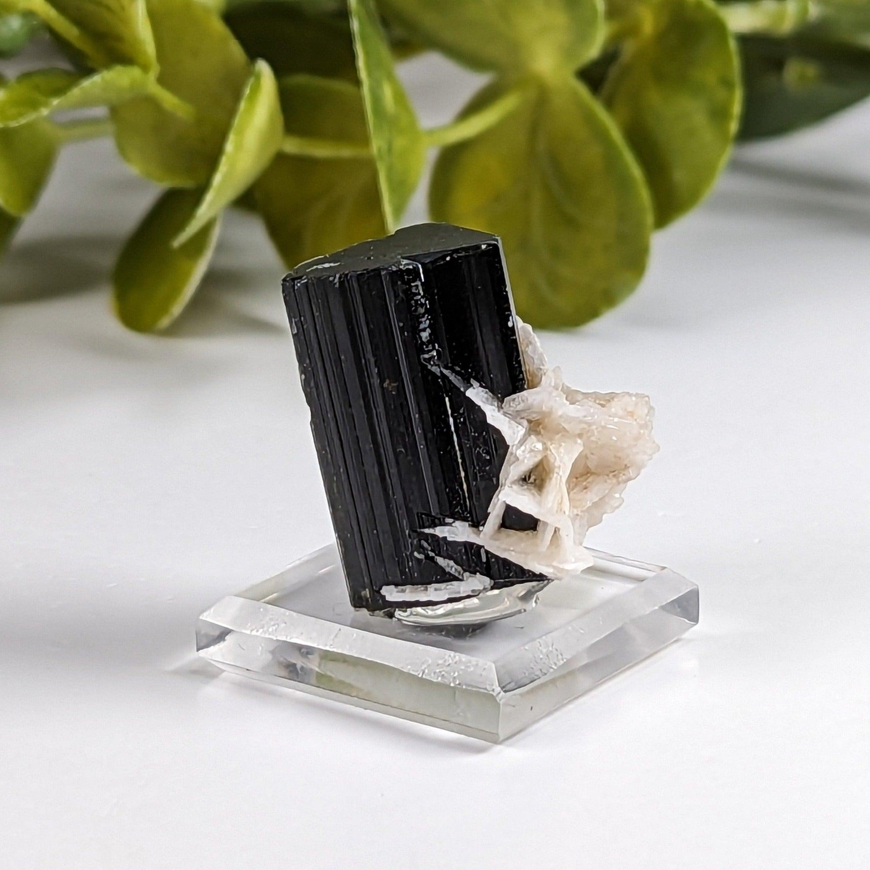  Natural Elbaite Tourmaline with Albite | 17.6 grams | Stak Nala, Gilgit District Pakistan | SO24 2