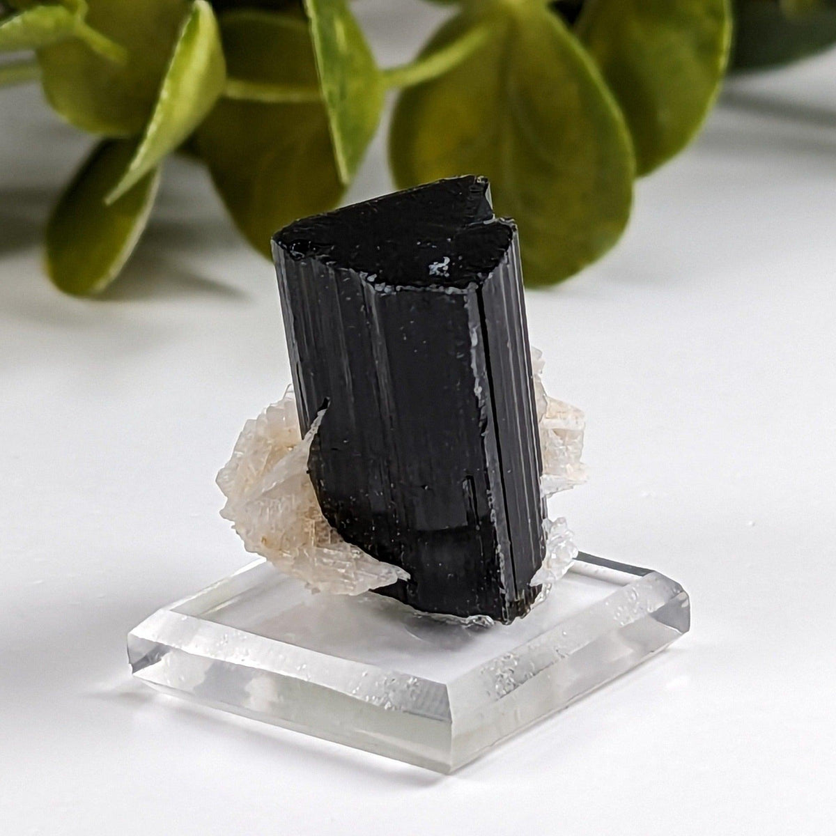  Natural Elbaite Tourmaline with Albite | 17.6 grams | Stak Nala, Gilgit District Pakistan | SO24 4