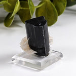  Natural Elbaite Tourmaline with Albite | 17.6 grams | Stak Nala, Gilgit District Pakistan | SO24 4