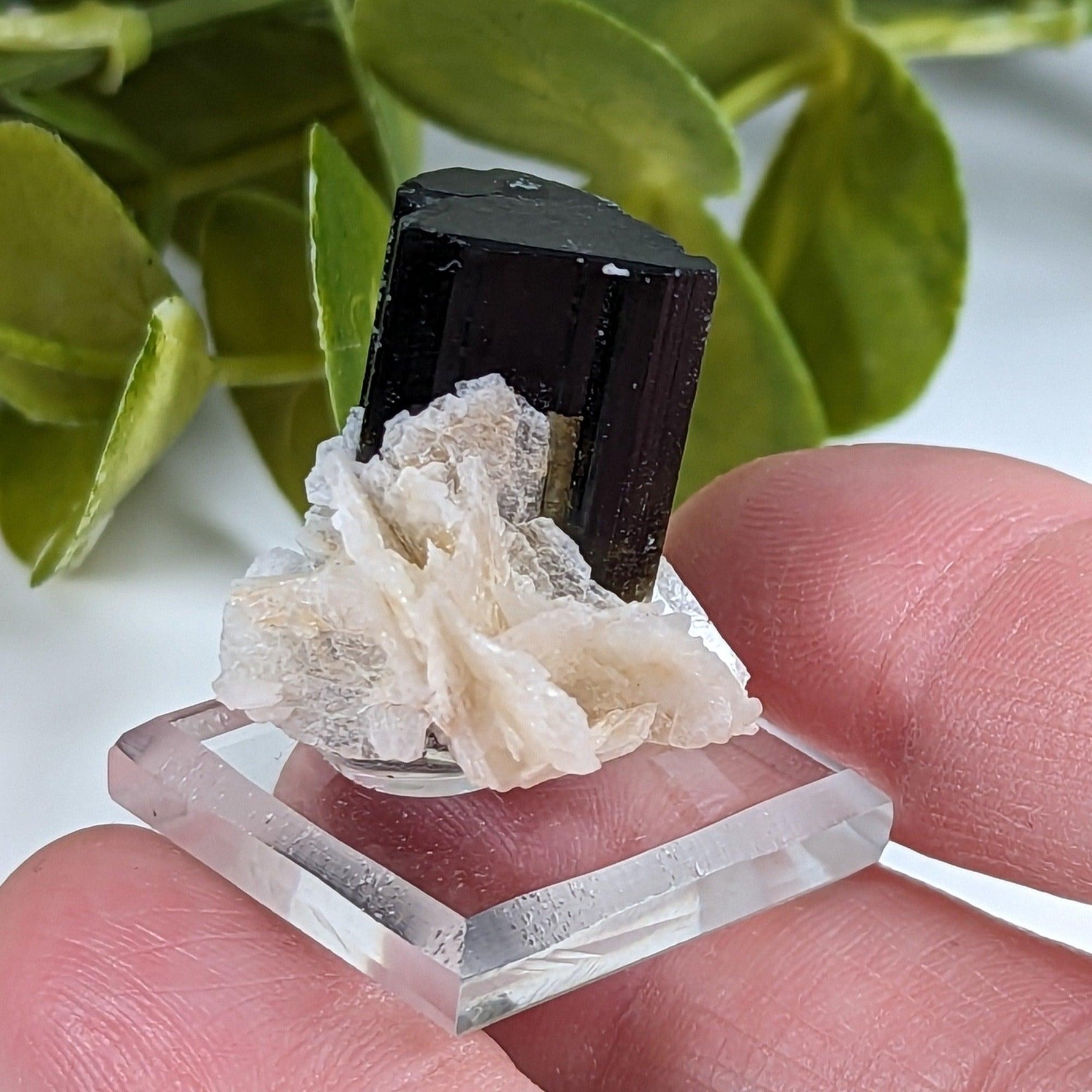  Natural Elbaite Tourmaline with Albite | 17.6 grams | Stak Nala, Gilgit District Pakistan | SO24 8