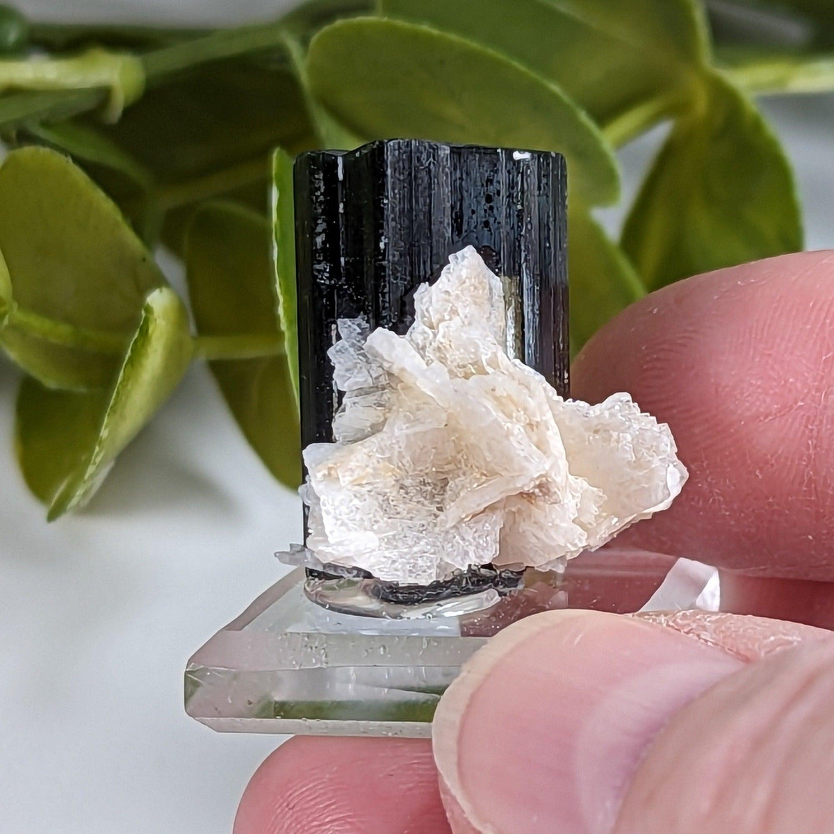  Natural Elbaite Tourmaline with Albite | 17.6 grams | Stak Nala, Gilgit District Pakistan | SO24 9