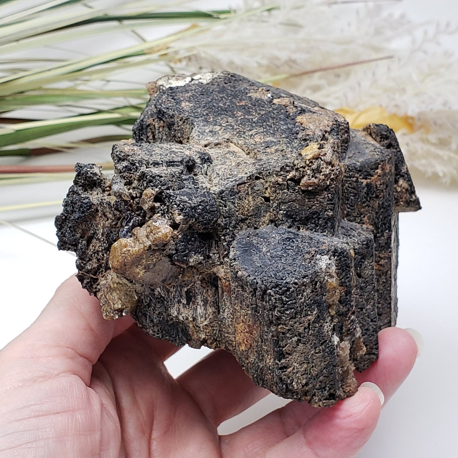  Natural Hornblende | Raw Crystal | 1.07 Kg | Tory Hill, Ontario Canada | SO24 1