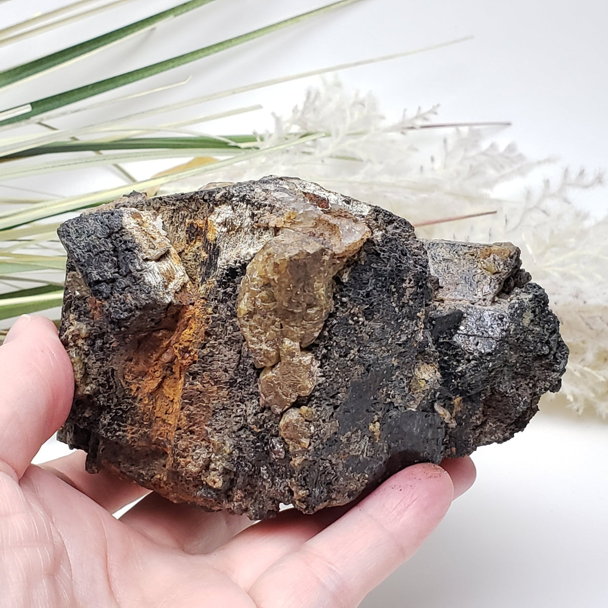  Natural Hornblende | Raw Crystal | 1.07 Kg | Tory Hill, Ontario Canada | SO24 2