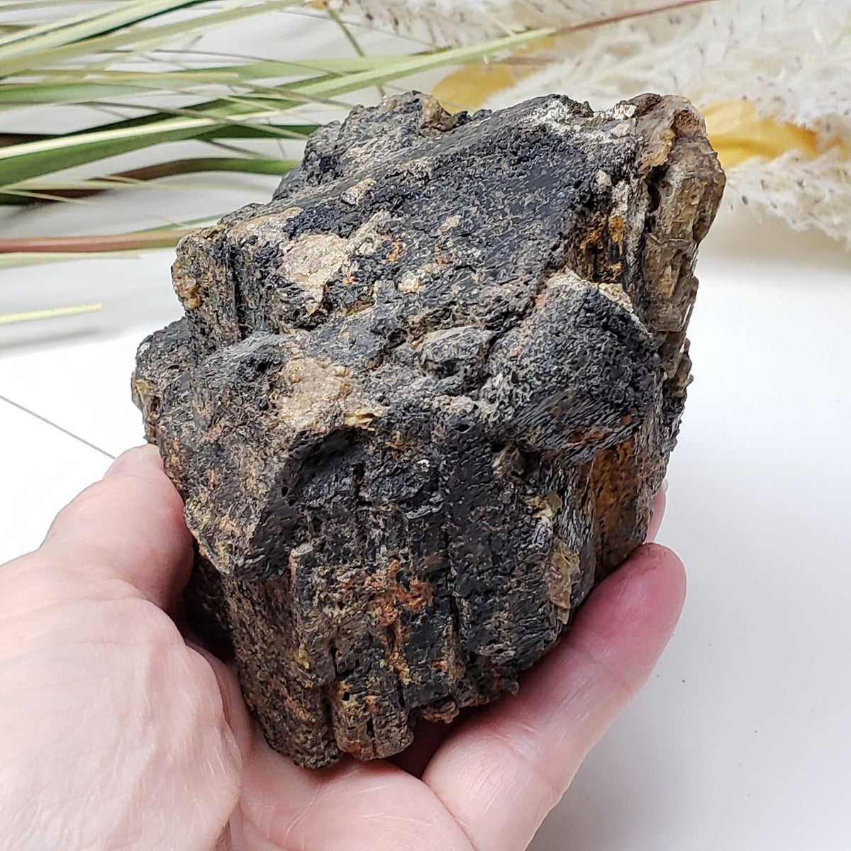  Natural Hornblende | Raw Crystal | 1.07 Kg | Tory Hill, Ontario Canada | SO24 4