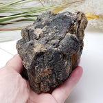  Natural Hornblende | Raw Crystal | 1.07 Kg | Tory Hill, Ontario Canada | SO24 4