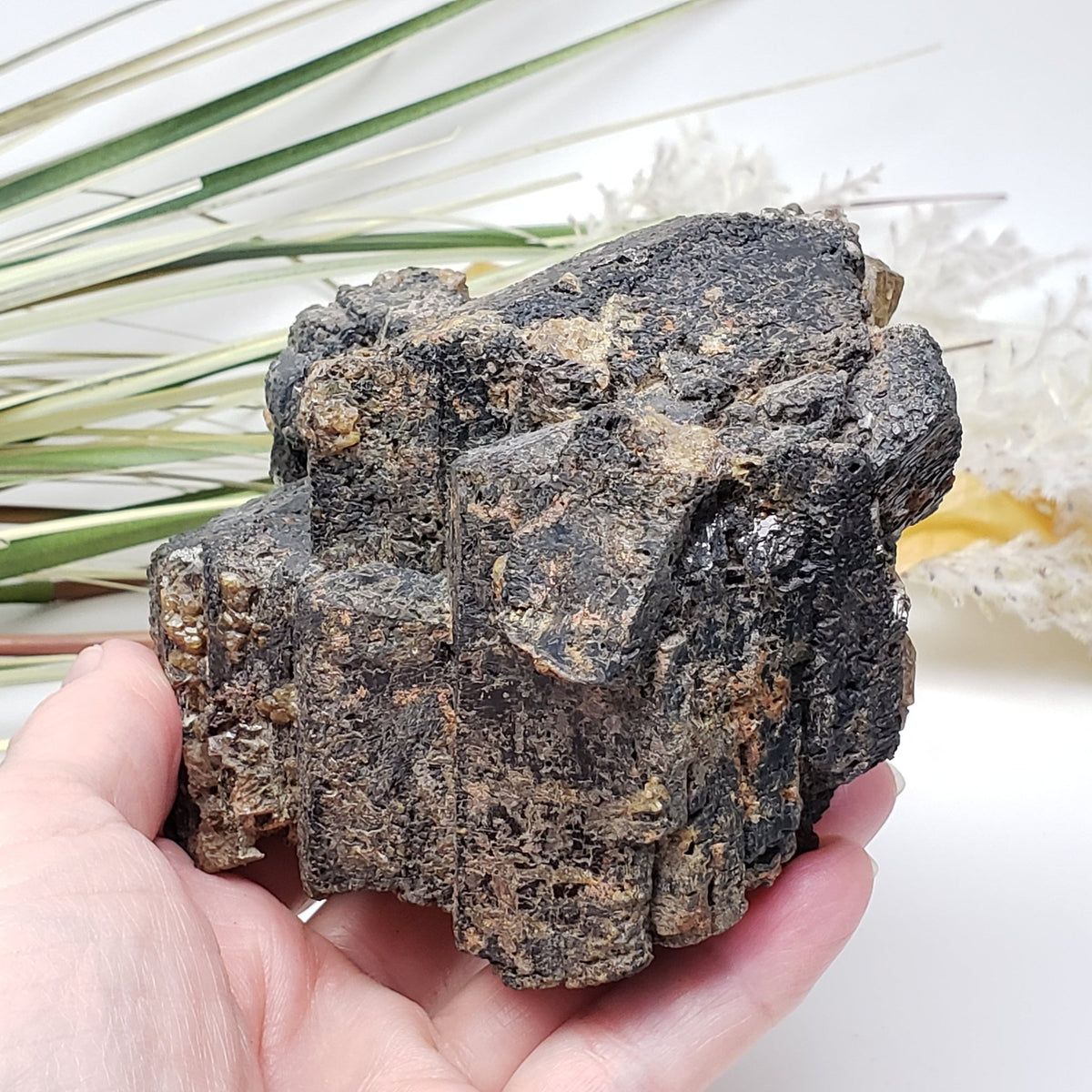  Natural Hornblende | Raw Crystal | 1.07 Kg | Tory Hill, Ontario Canada | SO24 5