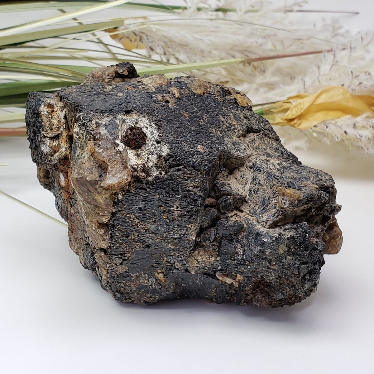  Natural Hornblende | Raw Crystal | 1.07 Kg | Tory Hill, Ontario Canada | SO24 6