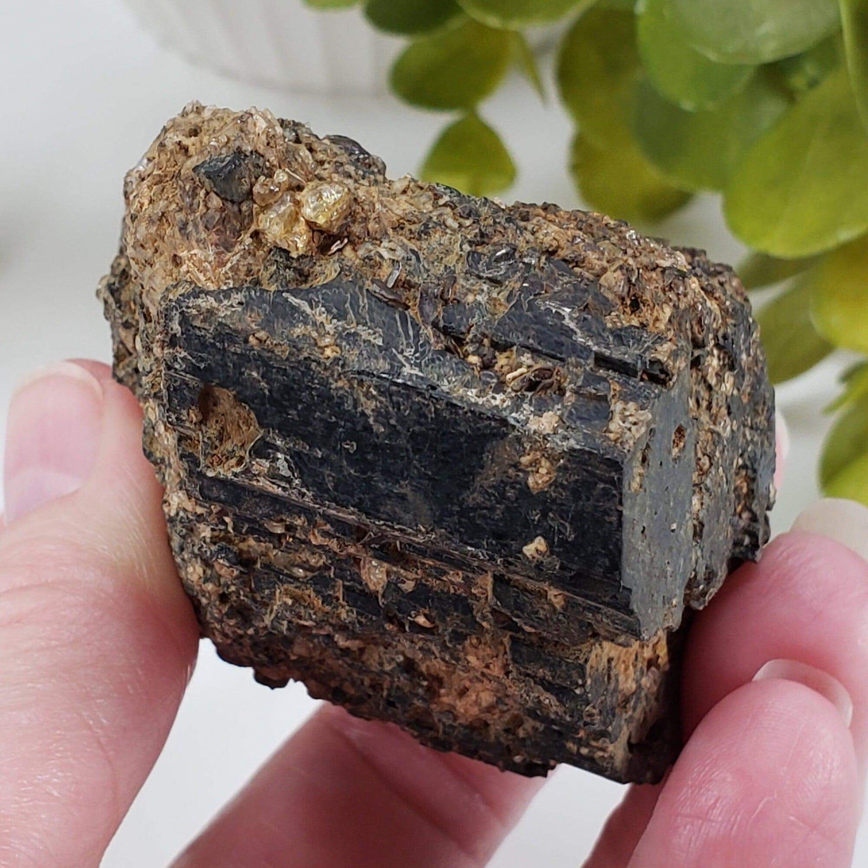  Natural Hornblende | Raw Crystal | 264.4 grams | Tory Hill, Ontario Canada | SO24 